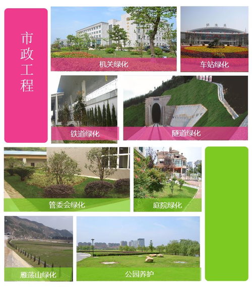 綠化苗木 百通生態(tài)環(huán)境 購(gòu)買綠化苗木