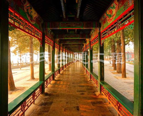 古建主體施工 苑氏古建工程專業(yè)公司 古建主體施工團隊