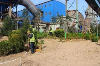 鋼城視角丨【鐵腕治霾】鋼鐵美麗花創(chuàng)建--綠色龍鋼雛形初綻 || 高標(biāo)準(zhǔn)做好屋頂綠化美化工作 打造俯視景觀“綠色韓城”_財(cái)經(jīng)_網(wǎng)