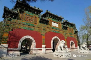 沖起來(lái) 年輕的小伙伴們,房地的榮譽(yù)讓我們來(lái)守護(hù)