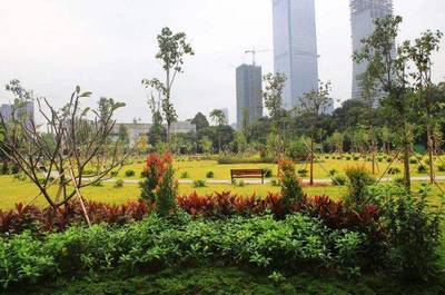 園林綠化工程中存在的部分問(wèn)題及建議