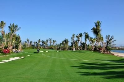 山東順和園林綠化工程簽約建文軟件，攜手推動(dòng)園林工程信息化進(jìn)程